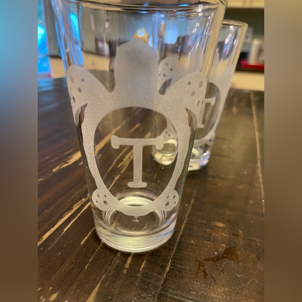 Etched Glass with Turtle Design